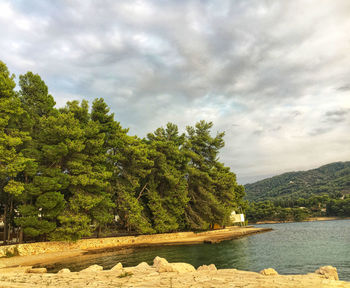 Scenic view of lake by trees against sky