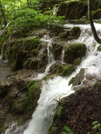 River flowing through rocks