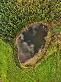 High angle view of agricultural field