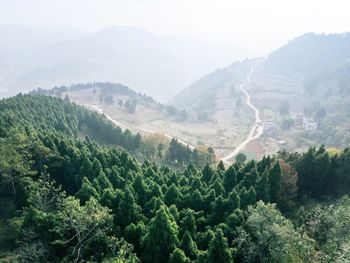 High angle view of trees and mountains