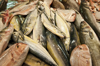 Full frame shot of fish for sale in market