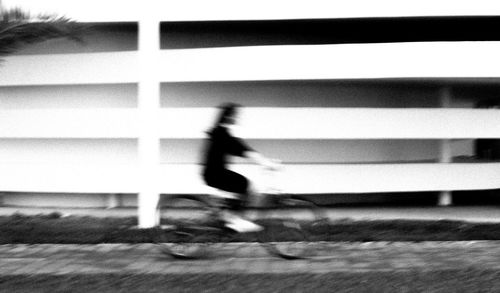 Shadow of tree on the wall