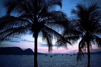 Silhouette palm tree by sea against sky at sunset