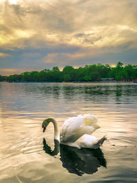 Scenic view of lake against cloudy sky