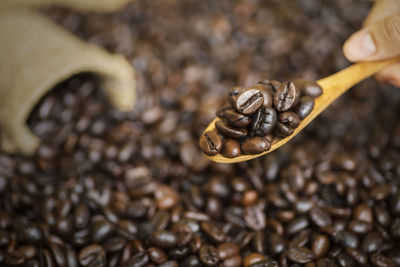 Close-up of coffee beans