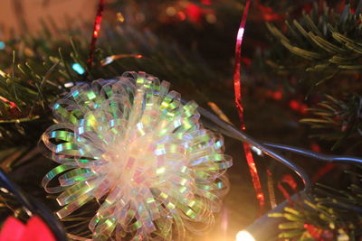 Close-up of illuminated christmas tree at night