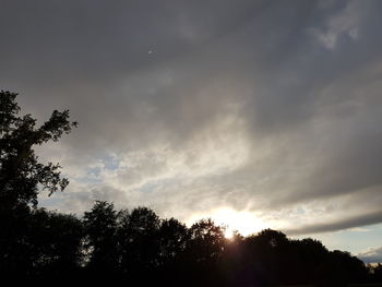 Low angle view of silhouette trees against sky