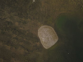 High angle view of rock on land