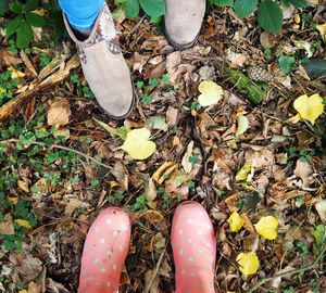 Low section of man standing on autumn leaves