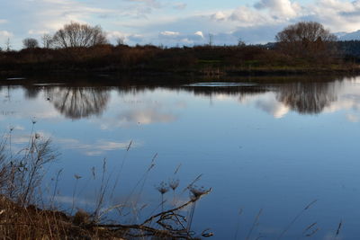 Reflection of trees in lake against sky