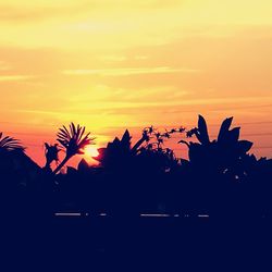 Silhouette palm trees against sky at sunset