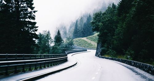 Road amidst trees during winter