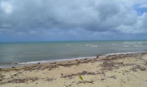 Scenic view of beach against cloudy sky