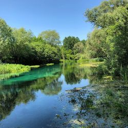 Scenic view of lake in forest against sky