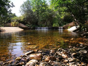 Scenic view of water