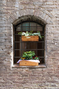 Flower boxes in the window of a brick wall.