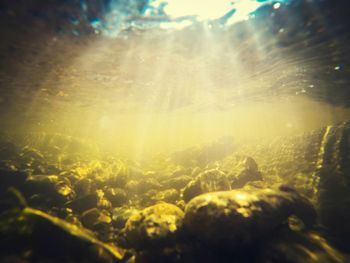 Close-up of sunlight