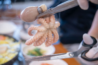 Cropped hand of person preparing food