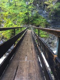 Footbridge in forest