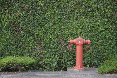 Red fire hydrant in city