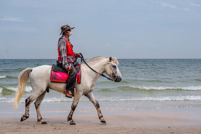 Horse, sea, beach, people, travel