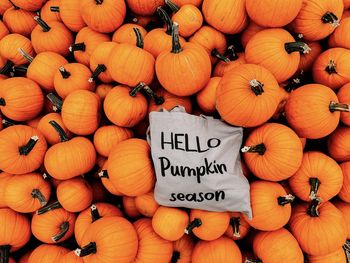 High angle view of pumpkins for sale at market stall