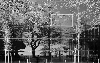 Bare trees by lake against building