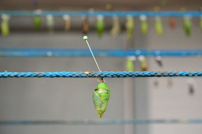 Close-up of rope tied to metal