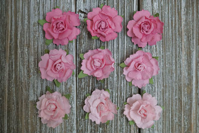 Close-up of pink roses