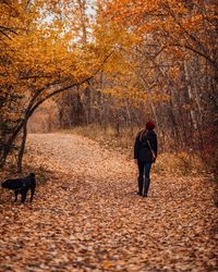 Rear view of woman walking with dog during autumn