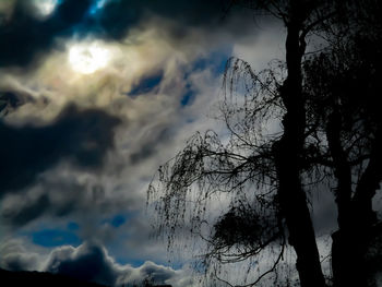 Low angle view of silhouette tree against sky