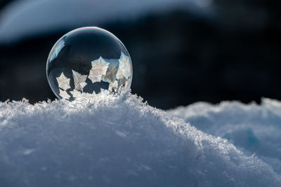 Close-up of ice crystals against blurred background