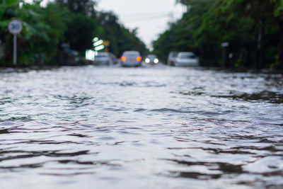 Surface level of car on street in city