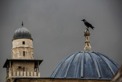 Bird perching on dome against sky