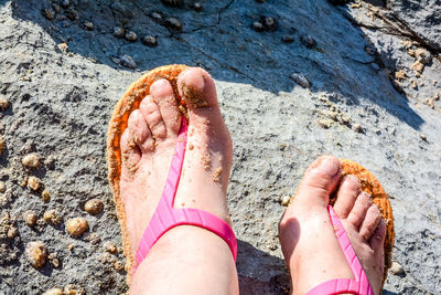 Low section of woman standing on beach