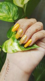 Close-up of hand holding leaves