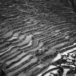 Full frame shot of agricultural land