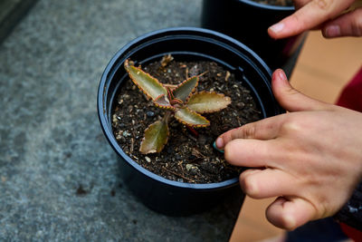 Girl planting seeds in a pot in early spring