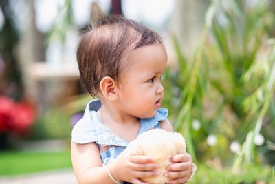 Portrait of cute boy holding ice cream