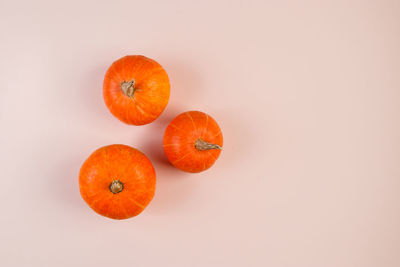 Directly above shot of orange fruit against white background
