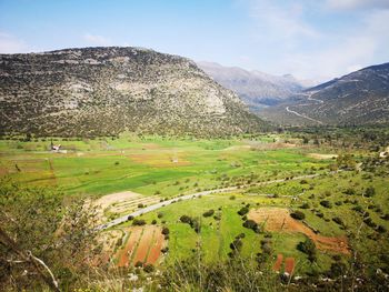 Scenic view of agricultural field against sky