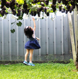 Rear view of woman standing in yard