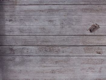 Close-up of wooden plank