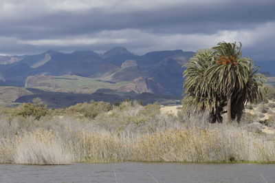 Scenic view of landscape and mountains against sky