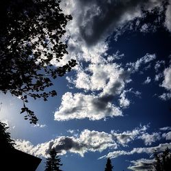 Low angle view of trees against blue sky