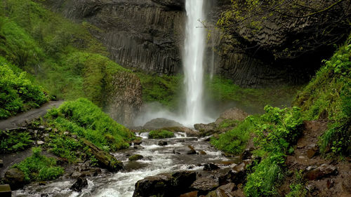 Scenic view of waterfall in forest