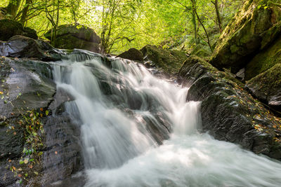 Scenic view of waterfall in forest