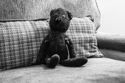 Close-up of dog sitting on sofa