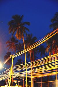 Low angle view of palm trees against sky at night