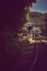 Railroad tracks amidst trees and buildings against sky